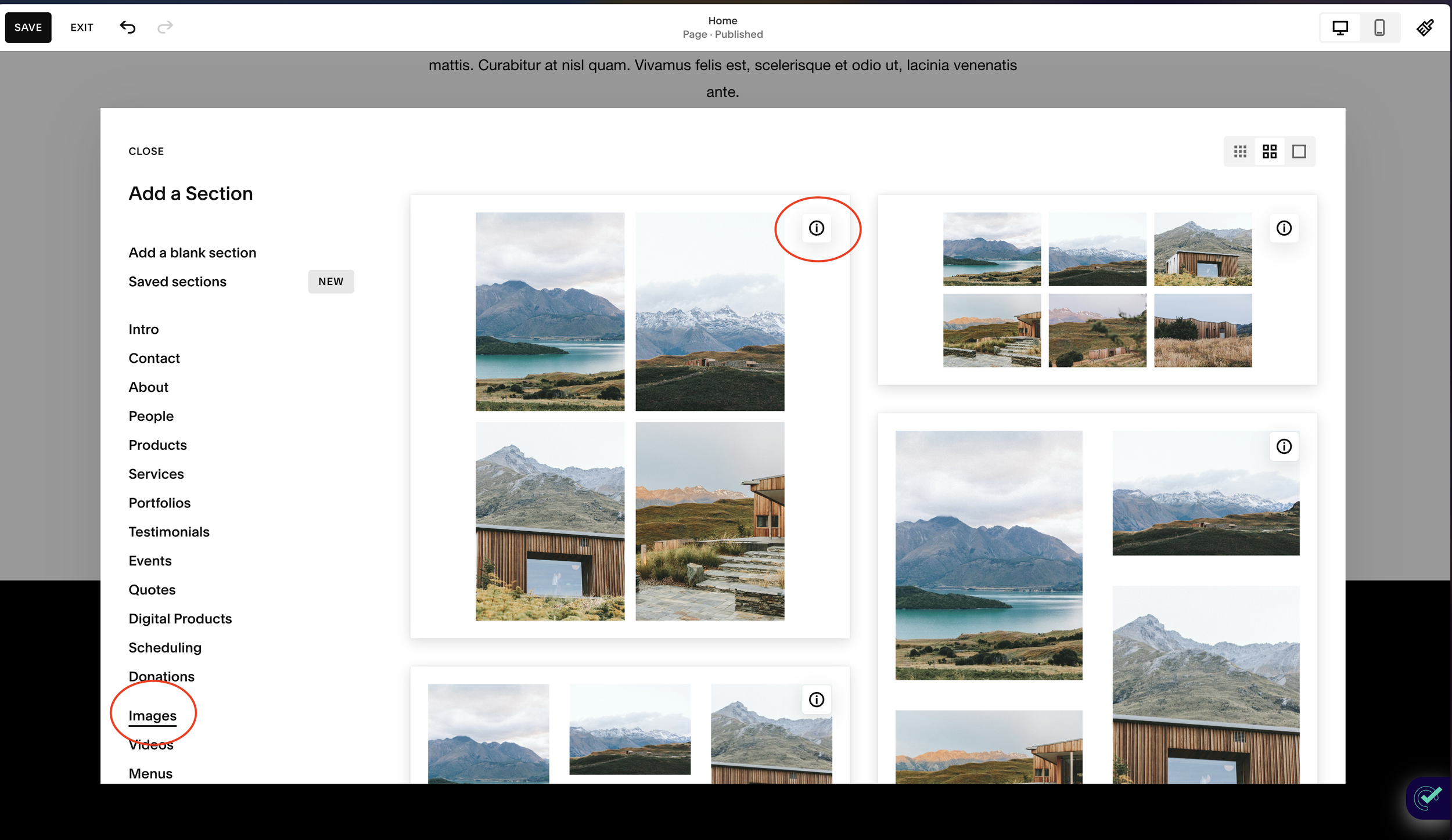 How to Add Gallery to Squarespace site — Highr Labs